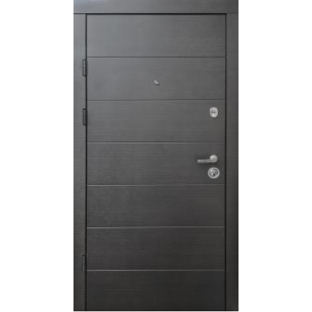Металлическая дверь Элит 100 + труба Mottura 860 R ( 16/16 )